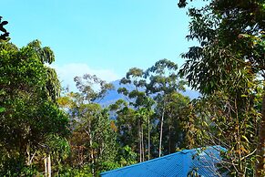 Hill Forest Cottage
