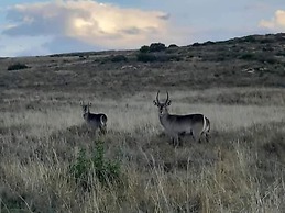 Boschfontein Mountain Lodge