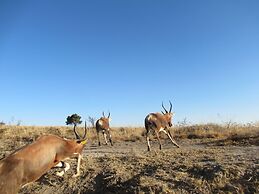 Boschfontein Mountain Lodge