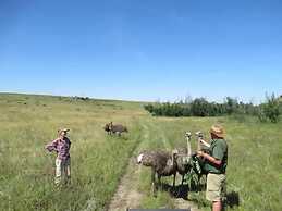 Boschfontein Mountain Lodge