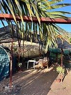 Agrocamping Invernaderito