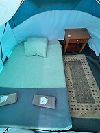 Agrocamping Invernaderito