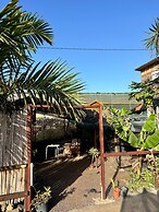 Agrocamping Invernaderito