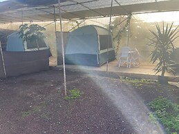 Agrocamping Invernaderito