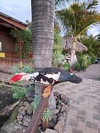 Agrocamping Invernaderito