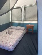 Agrocamping Invernaderito