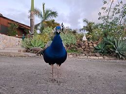 Agrocamping Invernaderito