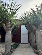 Agrocamping Invernaderito