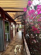 Agrocamping Invernaderito