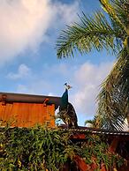 Agrocamping Invernaderito