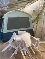 Agrocamping Invernaderito