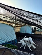 Agrocamping Invernaderito