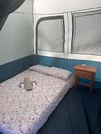 Agrocamping Invernaderito