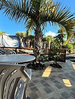 Agrocamping Invernaderito