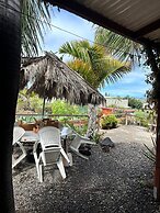 Agrocamping Invernaderito