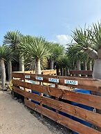 Agrocamping Invernaderito