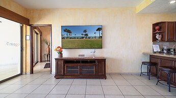 Sonoran Sun IV
