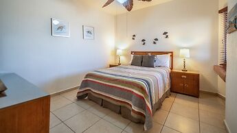 Sonoran Sun IV