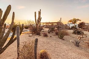 Hidden Leaf Baja Estate