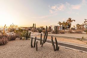 Hidden Leaf Baja Estate