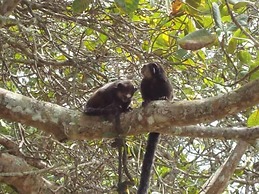 Casa de Temporada Felicidade, 38 Hóspedes, 2 Piscinas, 9 Suítes e 2 Ch