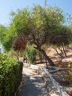 Elena's Traditional DreamHouse