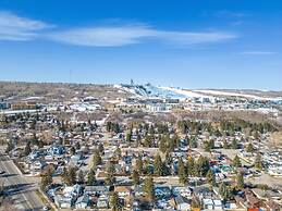 The Owl Petsok 3 Queenbd Firepit 3smarttvs