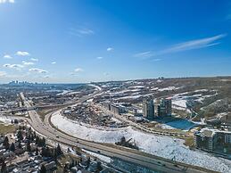 The Owl Petsok 3 Queenbd Firepit 3smarttvs