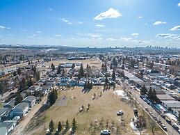 The Owl Petsok 3 Queenbd Firepit 3smarttvs