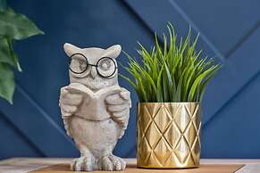 The Owl Petsok 3 Queenbd Firepit 3smarttvs