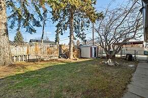 The Owl Petsok 3 Queenbd Firepit 3smarttvs