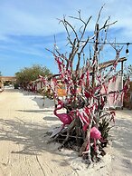 sunsteps casa holbox