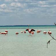sunsteps casa holbox