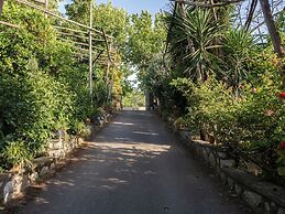 Giardino di Nonno Lucio
