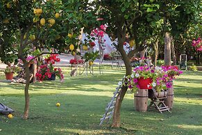 Giardino di Nonno Lucio