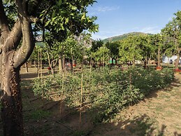 Giardino di Nonno Lucio