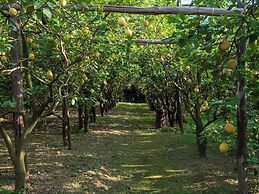 Giardino di Nonno Lucio