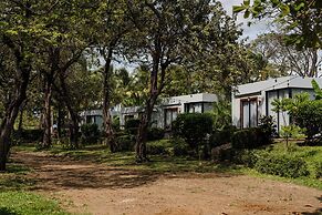 The Bohemian  Lagarto