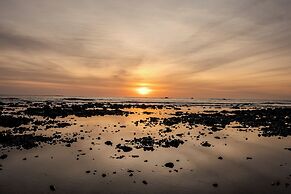 The Bohemian  Lagarto