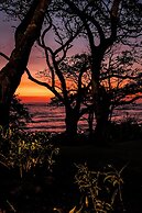 The Bohemian  Lagarto