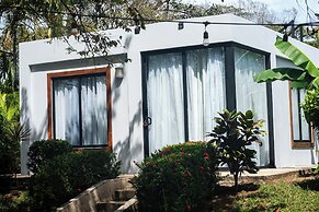 The Bohemian  Lagarto