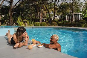 The Bohemian  Lagarto