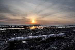 The Bohemian  Lagarto