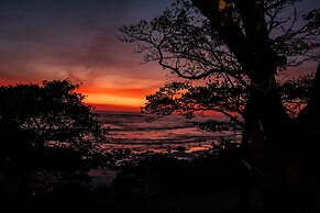 The Bohemian  Lagarto