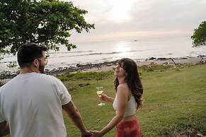 The Bohemian  Lagarto