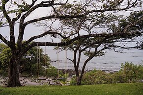 The Bohemian  Lagarto