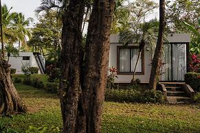 The Bohemian  Lagarto