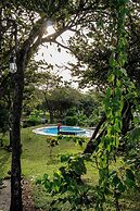 The Bohemian  Lagarto