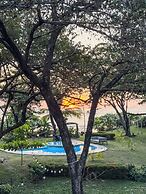 The Bohemian  Lagarto