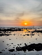 The Bohemian  Lagarto